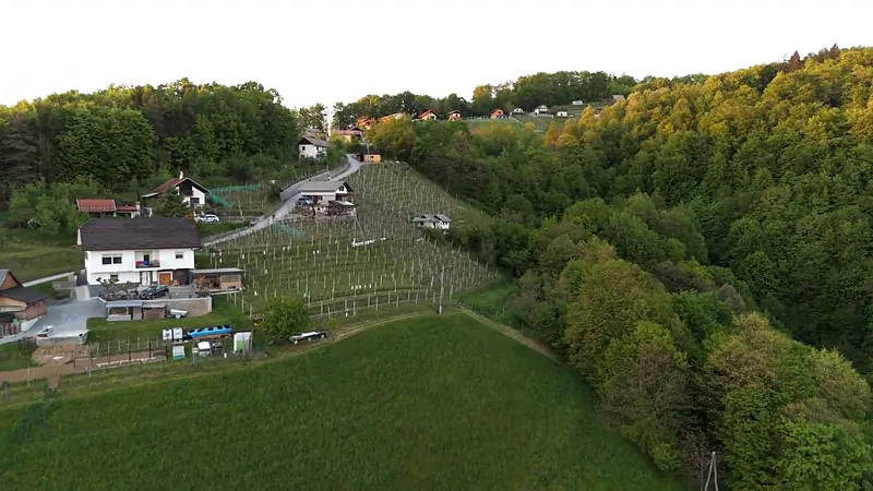 Hiša na pobočju nad travnikom, ob vinogradu in gozdu, posneta iz zraka