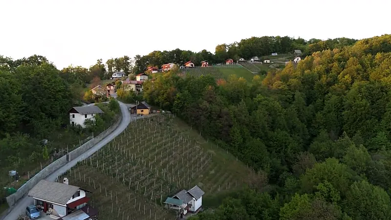 Cesta, ki se vije med vinogradi proti hišam na gozdnatem slemenu, posneta z dronom