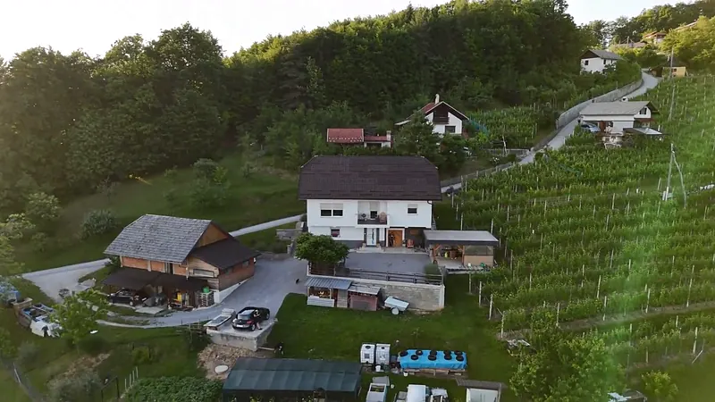 Hiša z gospodarskim poslopjem, dvoriščem in vrtom ob vinogradu, posneta z dronom
